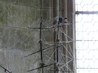 image115