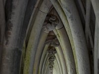 image117