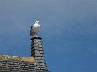 image124