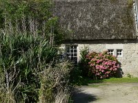 image96