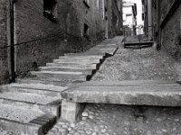 LLIP005